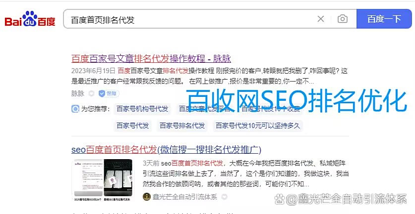 SEO优化排名软件哪个最实用