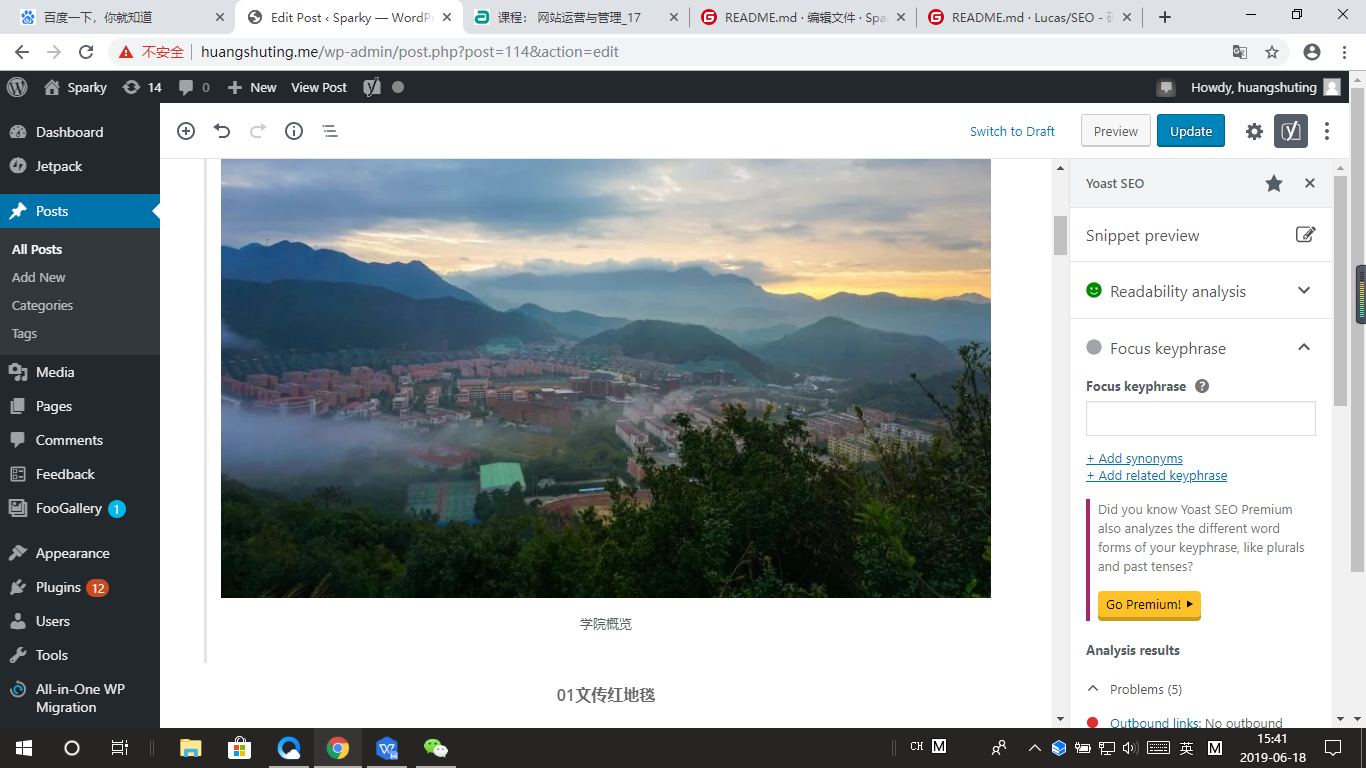 yoastseo如何检查关键词密度