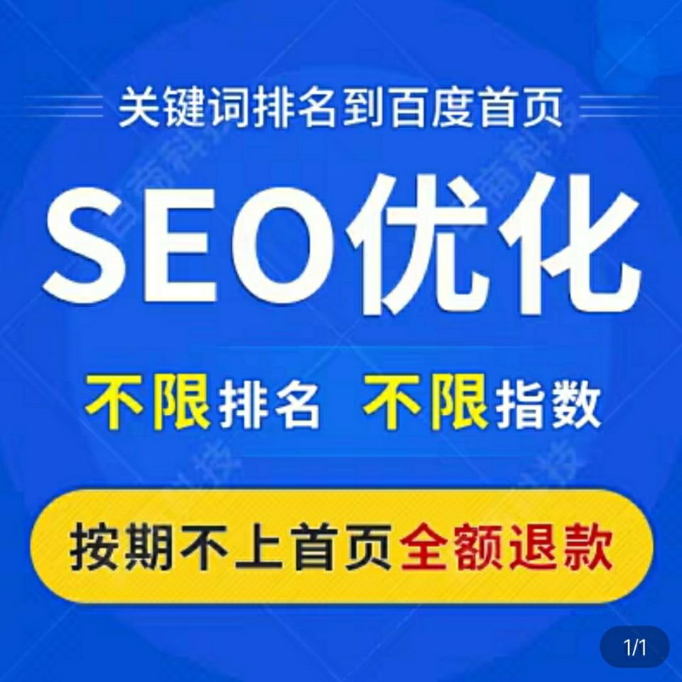 什么是SEO专业
