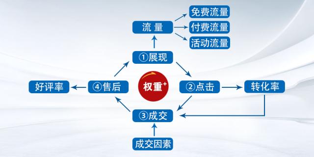 SEO开发中如何提高网站权重