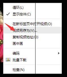 如何检查网页的SEOMeta标签是否正确