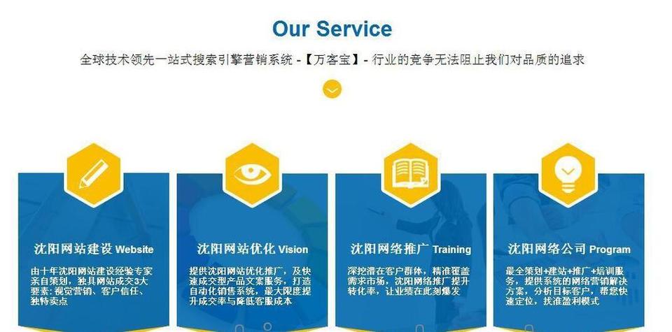 seo行业案例