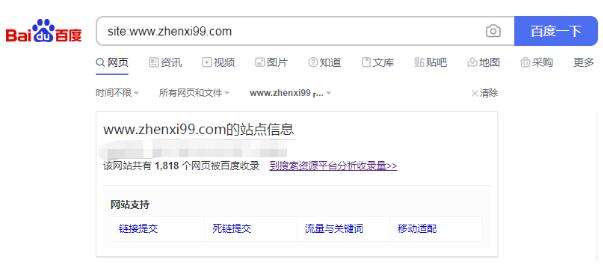 什么是SEO成绩
