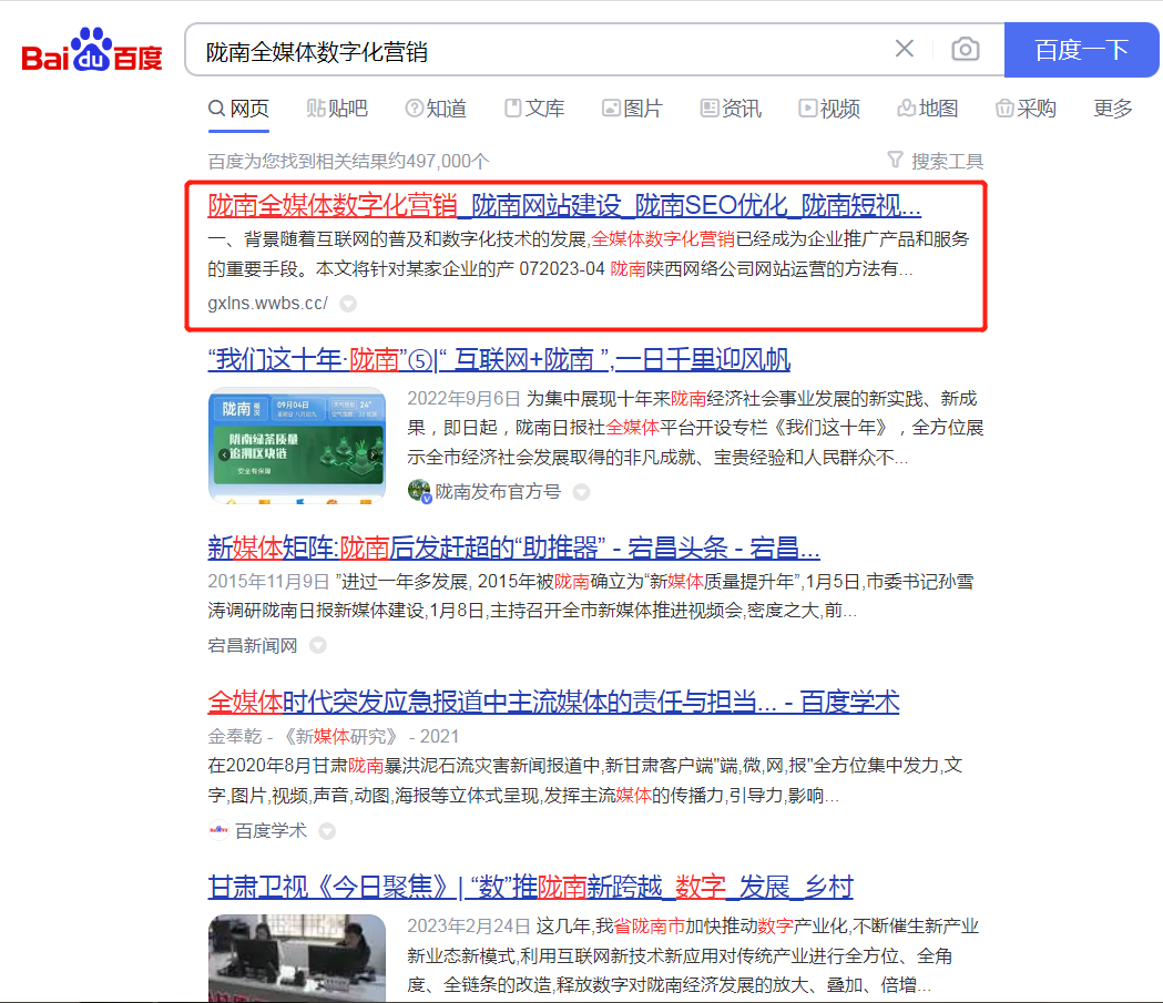如何检查网站的seo收录情况