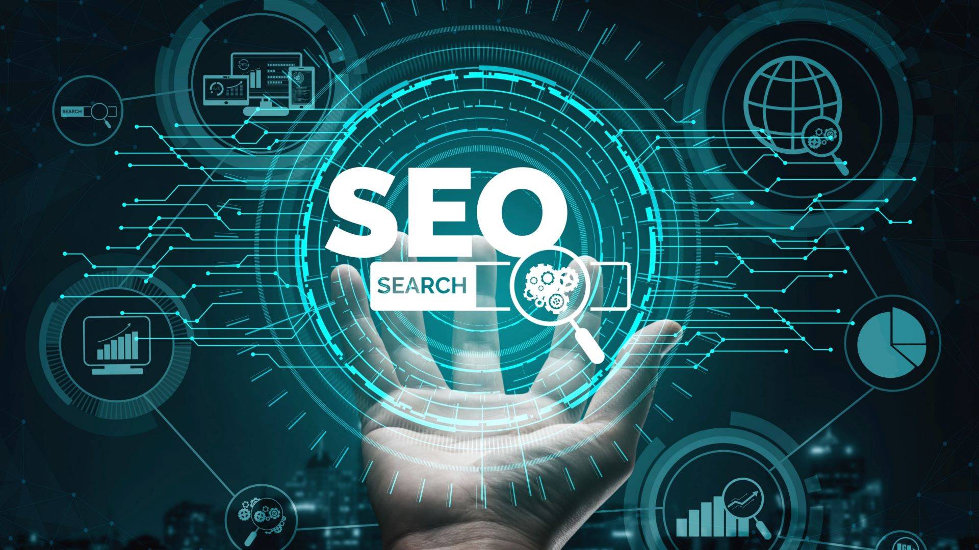 如何应对Google算法变化对SEO运营的影响_外链建设对SEO运营有什么影响