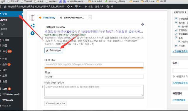 yoastseo如何设置多语言网站