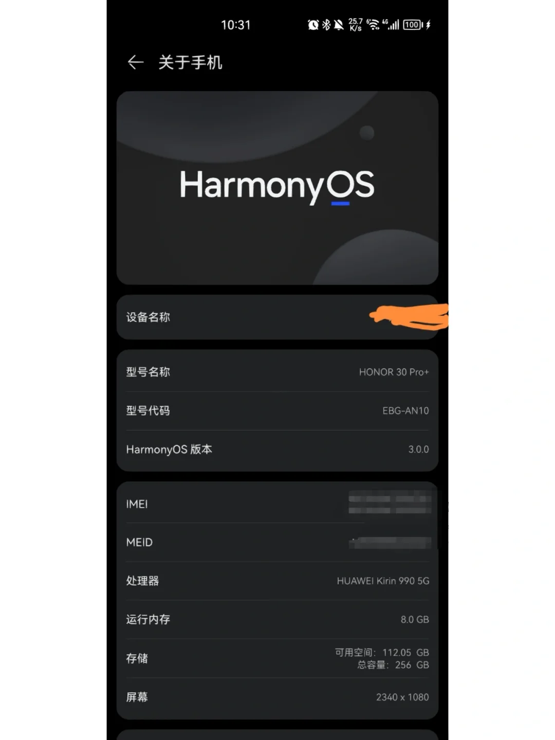 荣耀30prorom类型