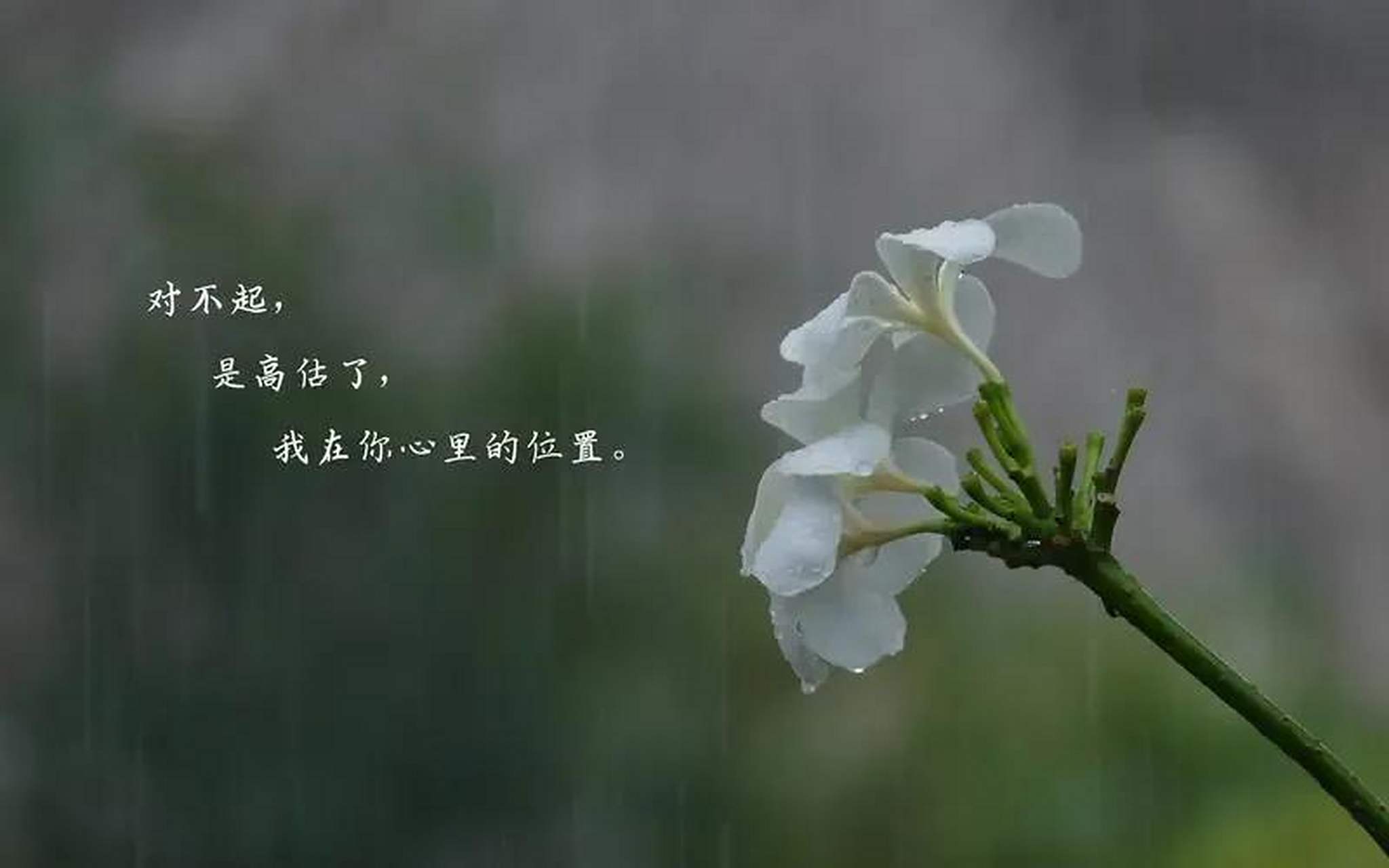对婚姻失望的句子说说心情
