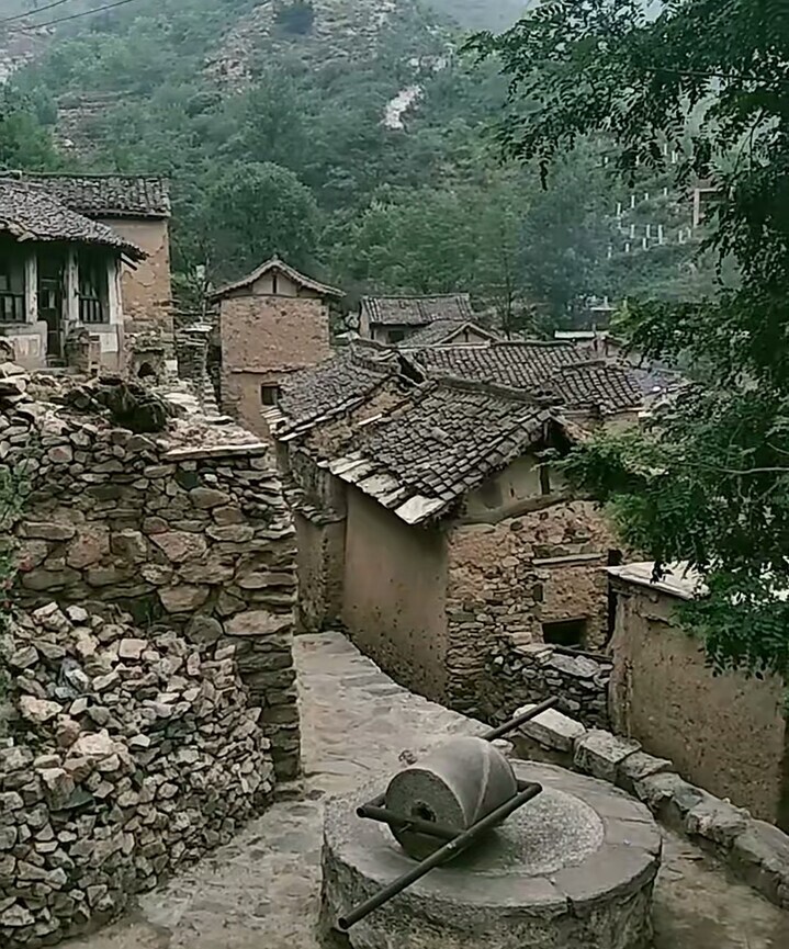 苍桑和沧桑的含义是什么