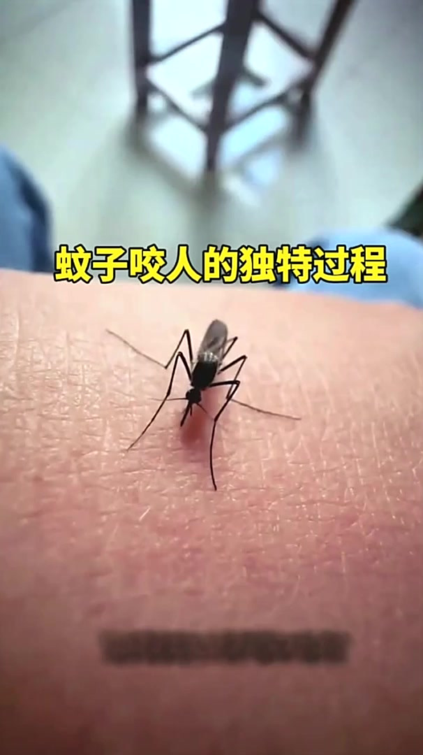 蚊子咬人的原理是什么