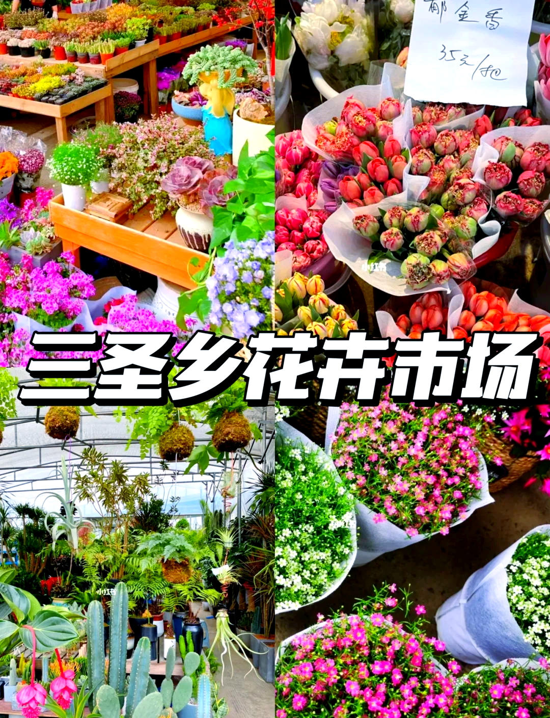 成都农产品批发市场有哪些地方