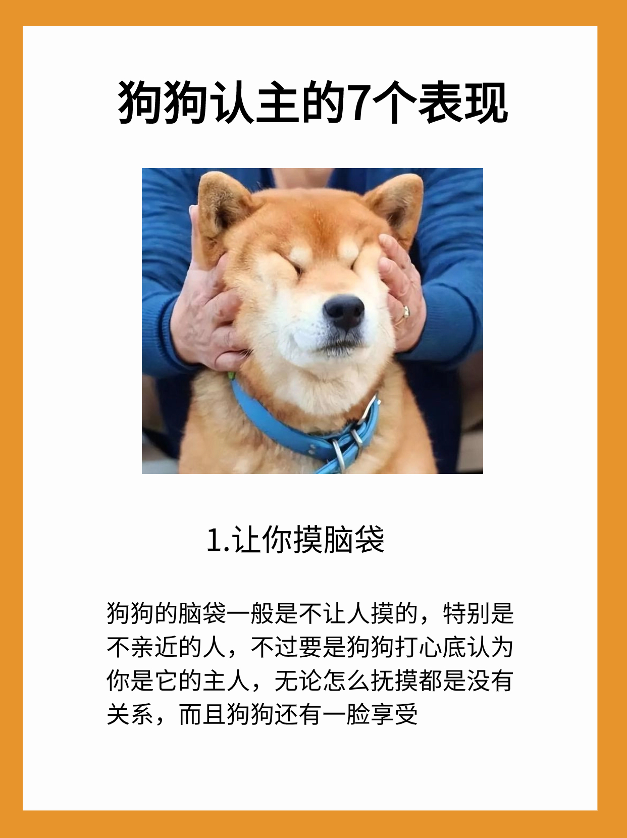 狗狗认你当主人的几种表现是什么