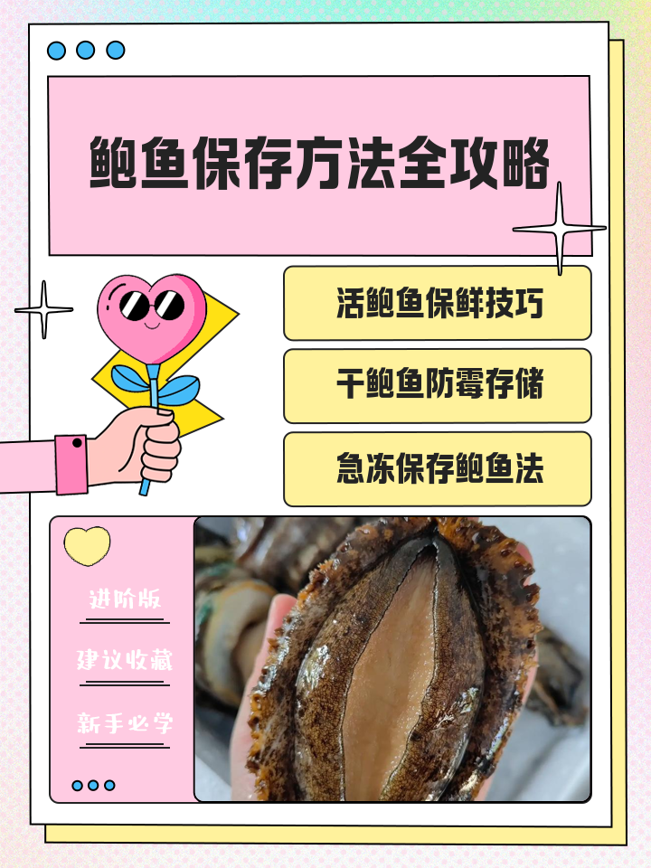 鲍鱼怎么清洗,鲍鱼清洗方法