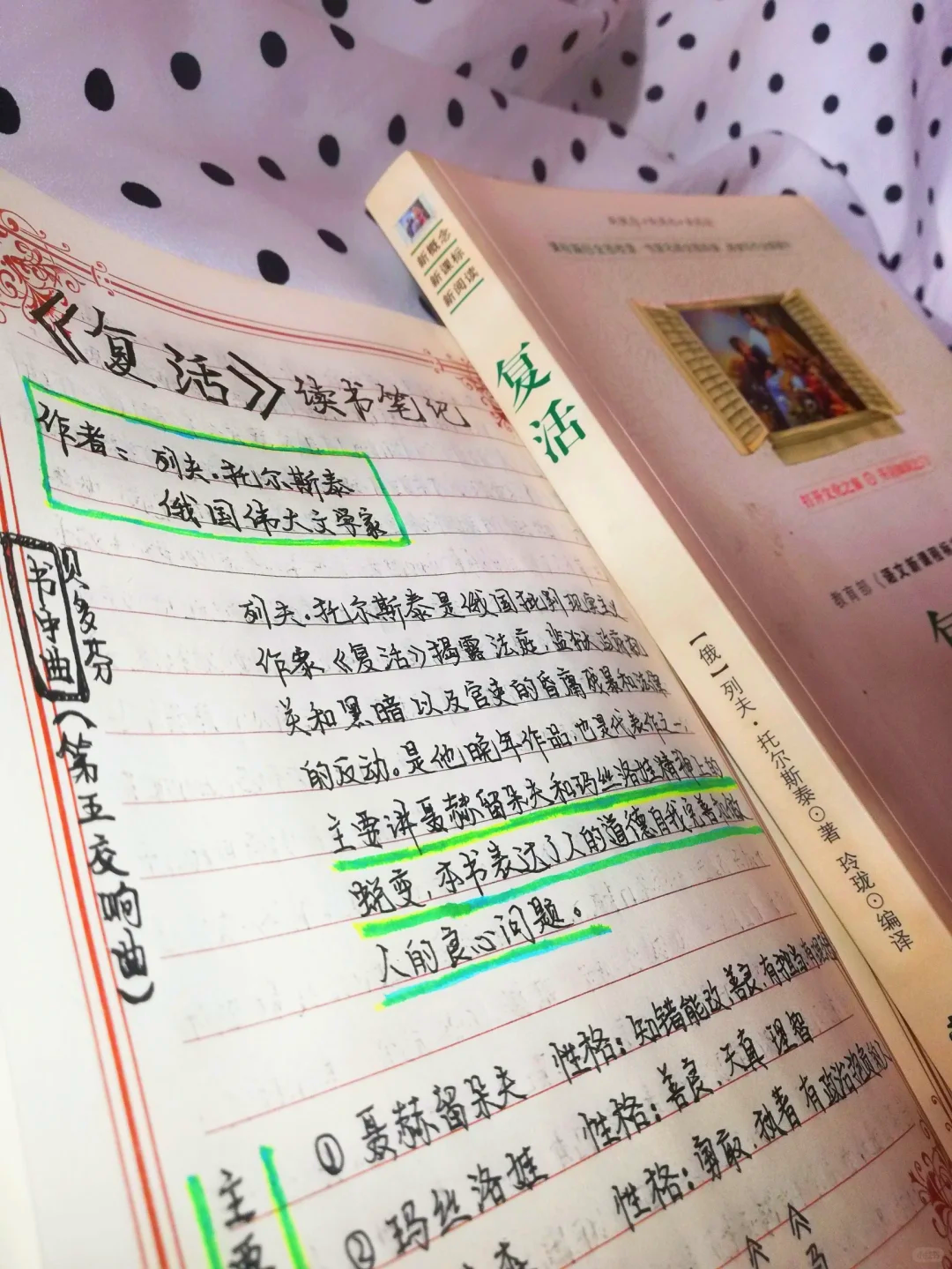 看点 第145页