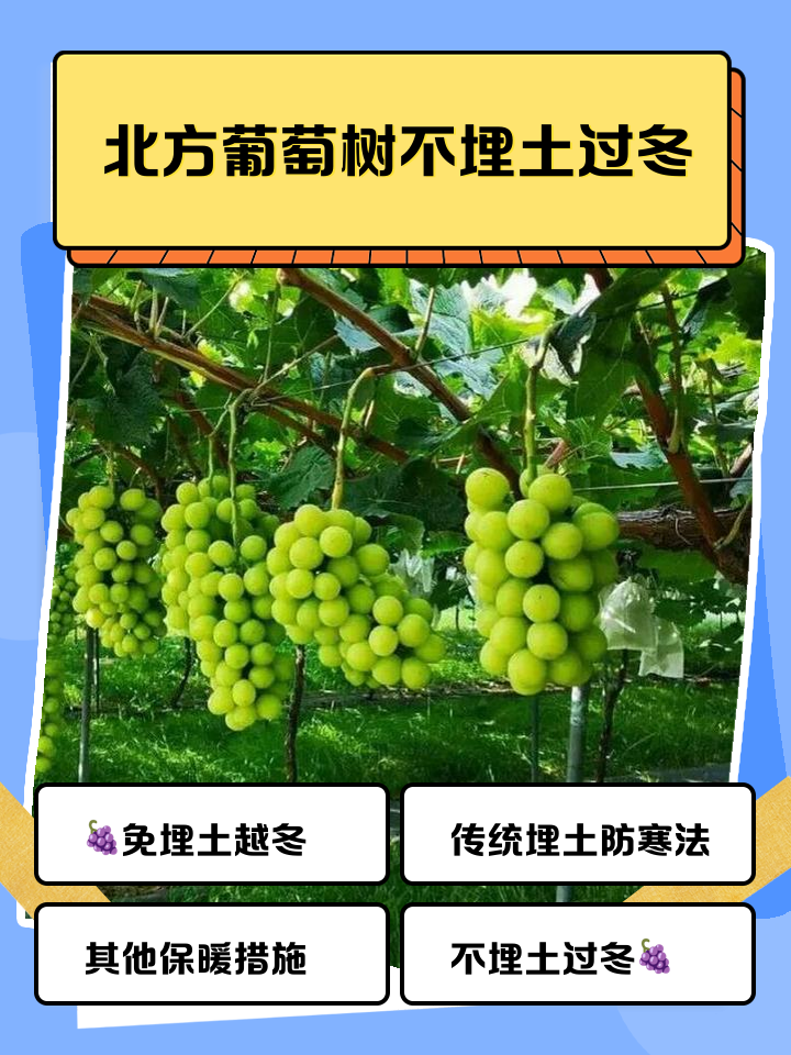 看点 第142页