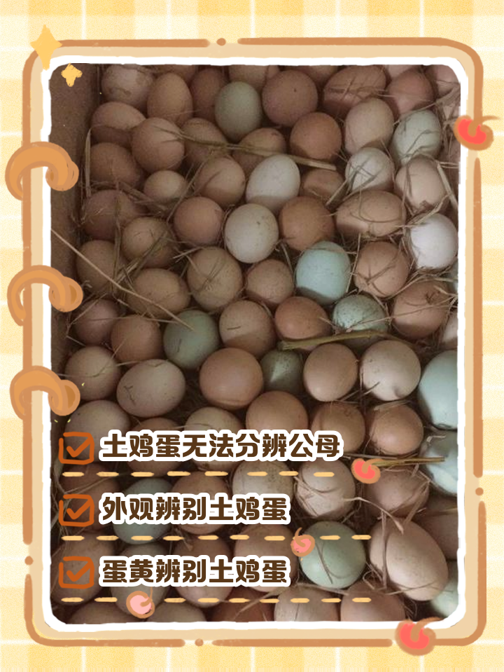 土鸡蛋和普通鸡蛋的区别颜色