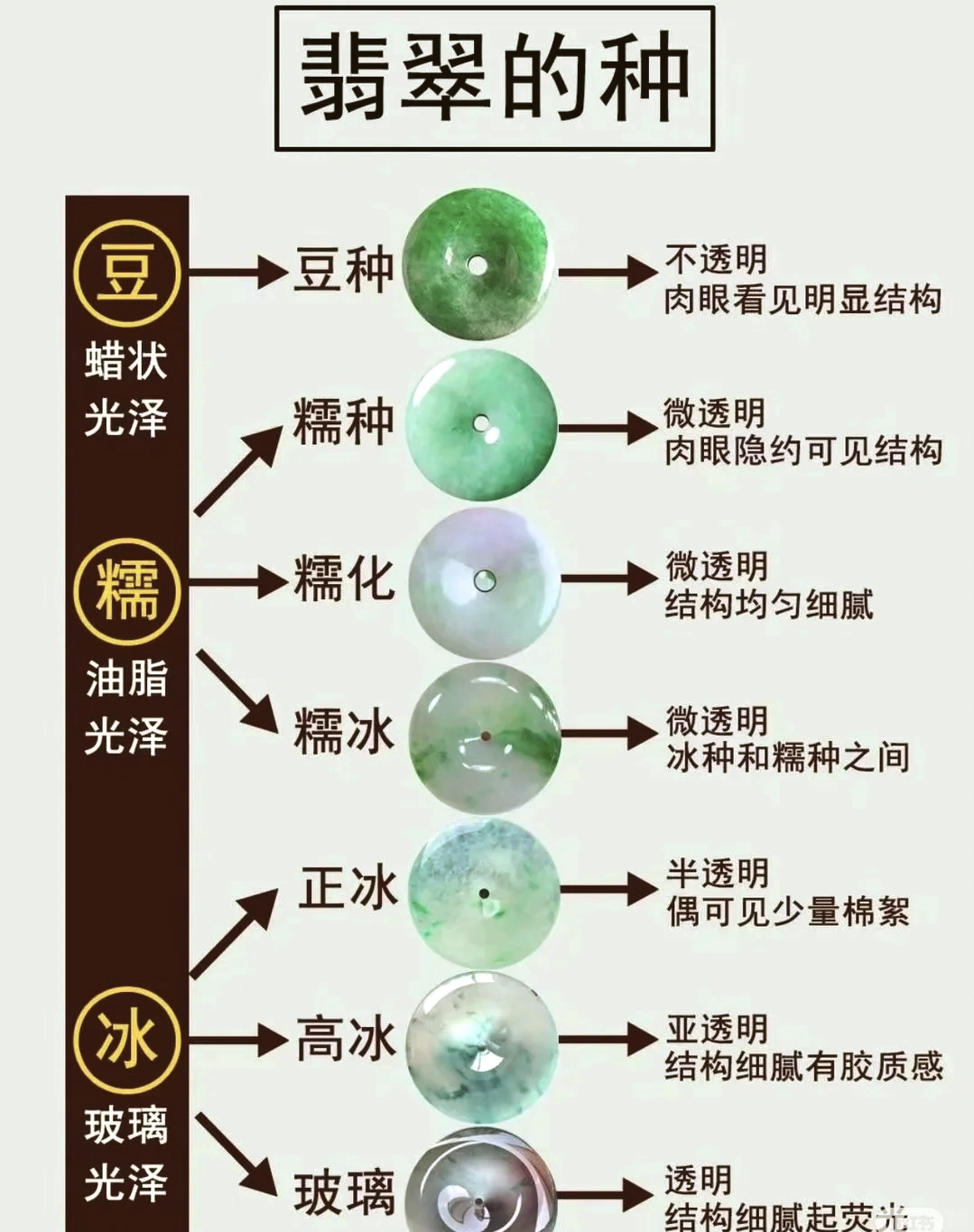 什么样的翡翠才是好的品种