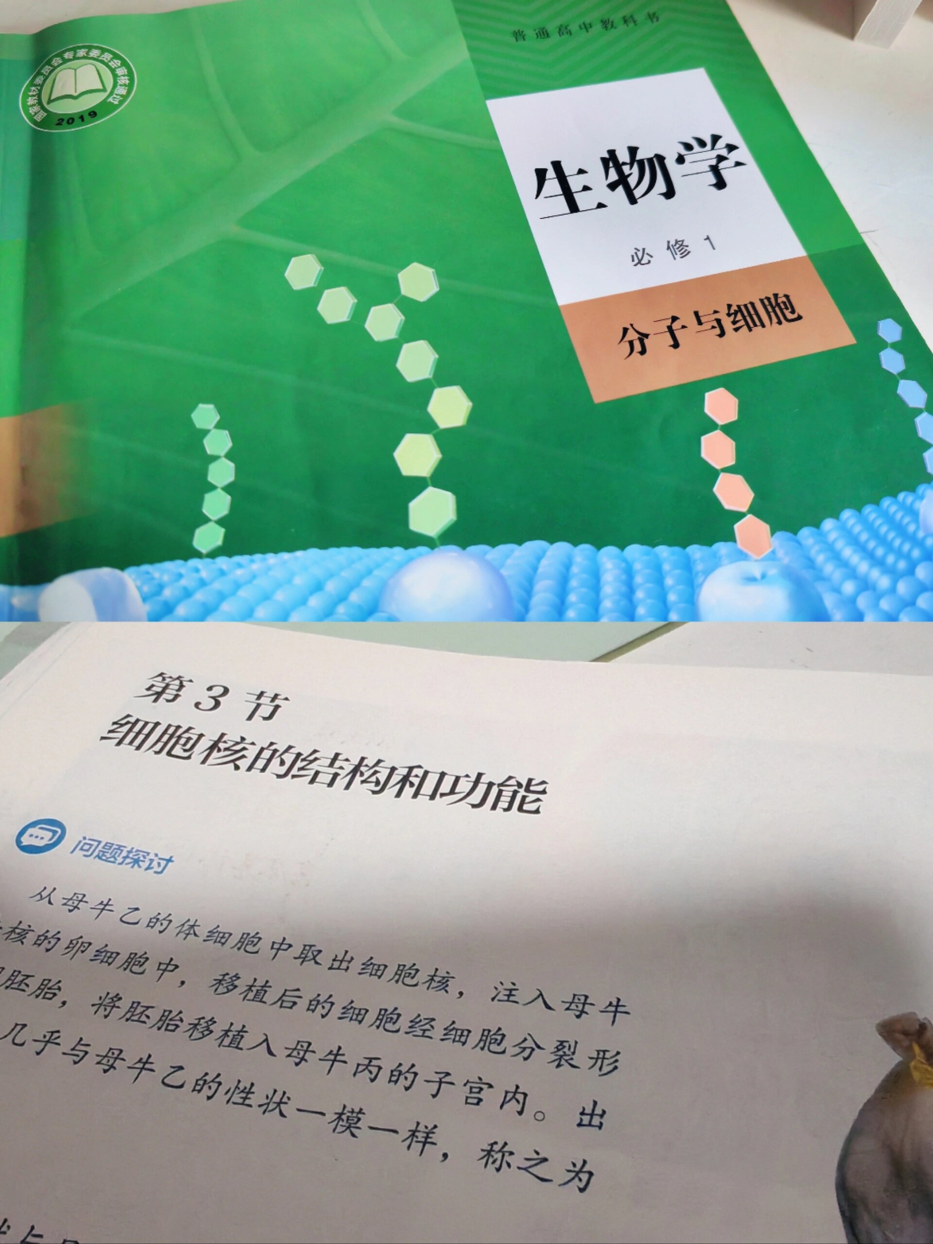 细胞核有什么作用初一