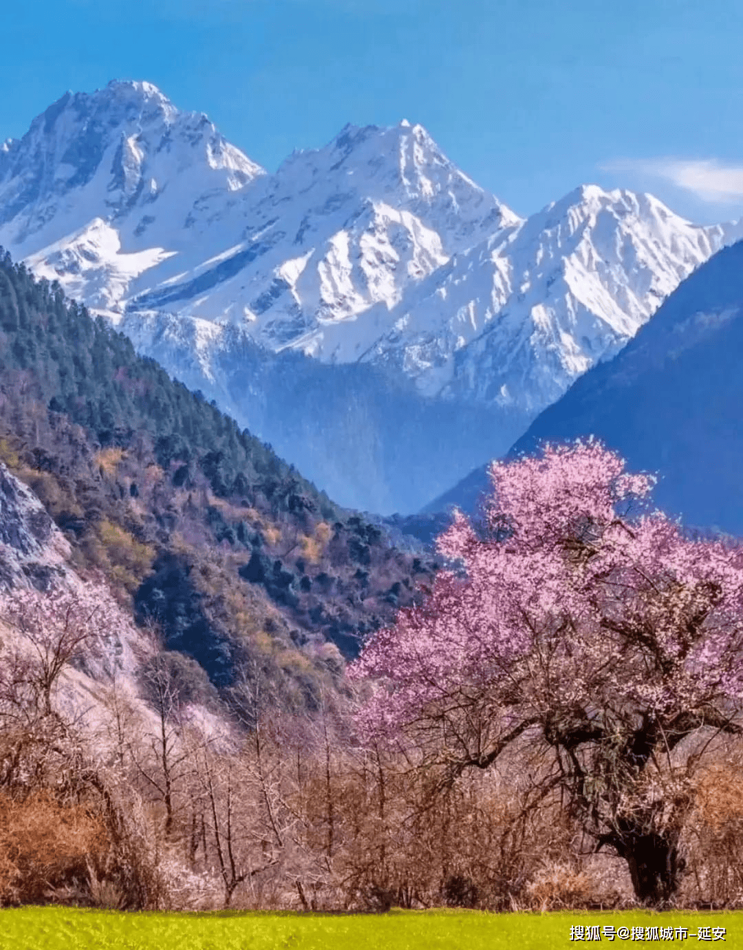 三月份去哪里旅游比较好国内