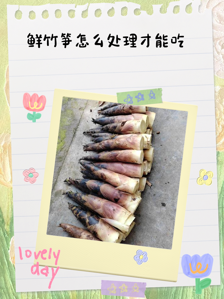 鲜竹笋如何快速处理