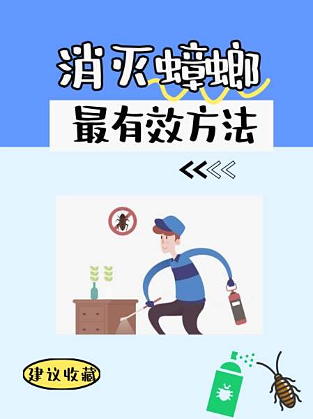 如何消灭蟑螂幼虫