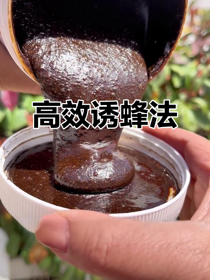 诱蜂最快的办法视频