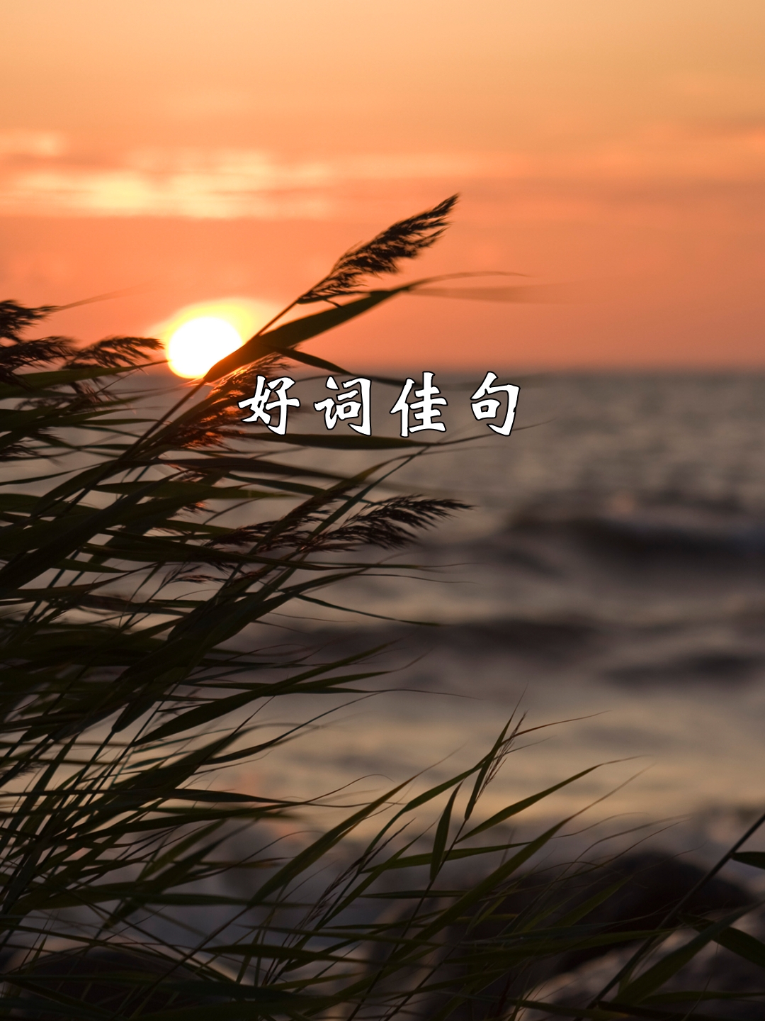 好词好句短句摘抄