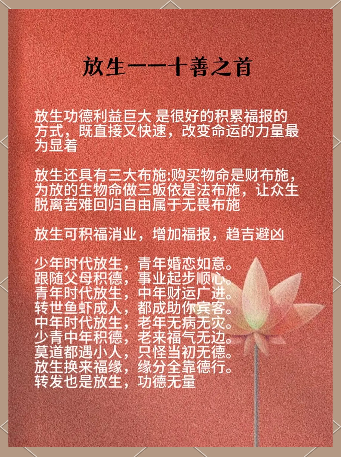 放生有什么好处亲身经历