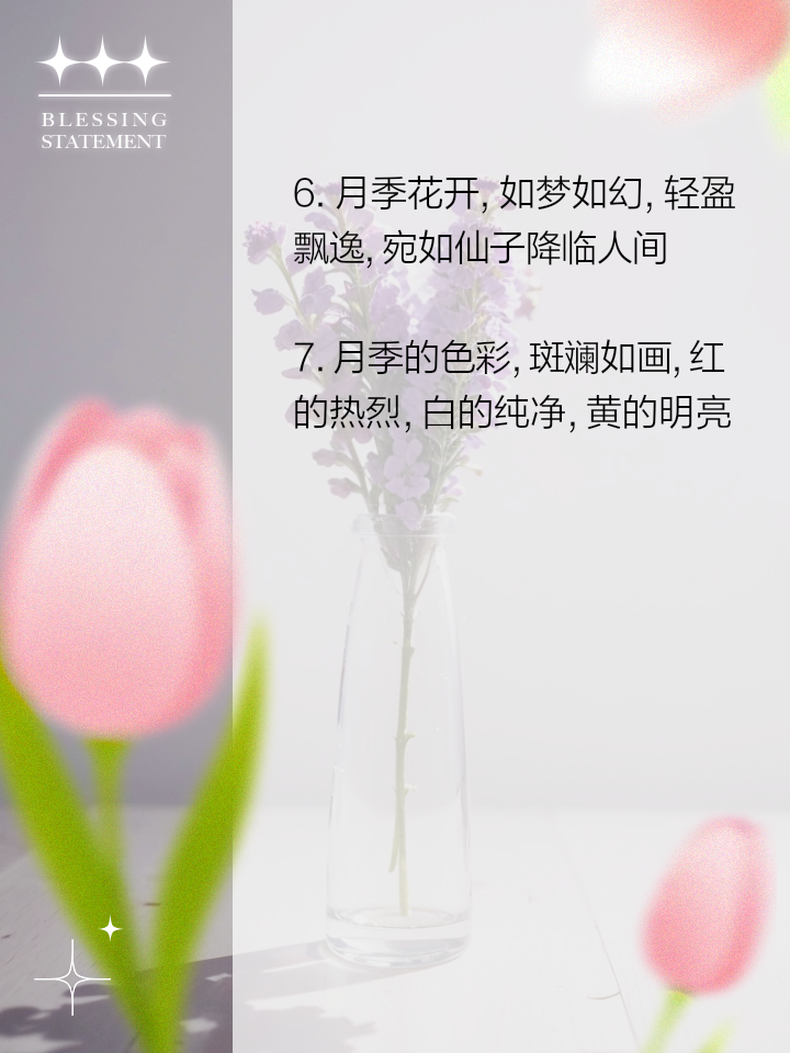 赞美月季花的优美句子有哪些呢
