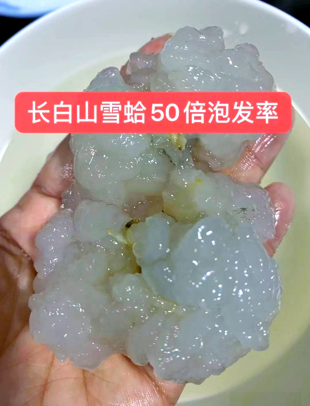 2025年9月8日 第3页