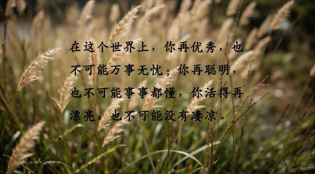 关于人生哲理励志的经典语录图片
