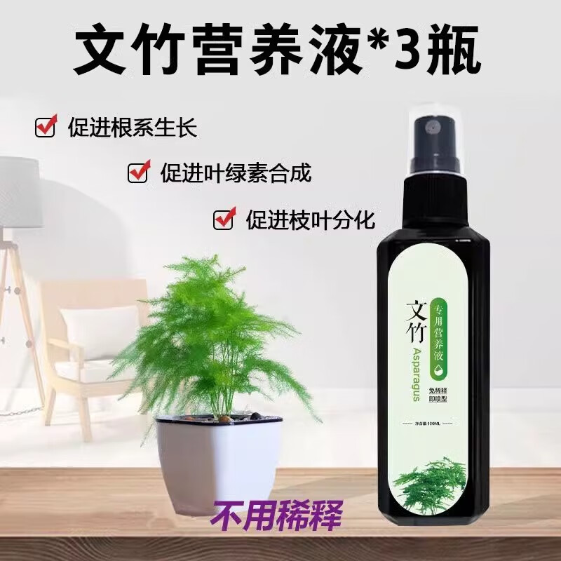 文竹施什么肥变得翠绿茂盛?