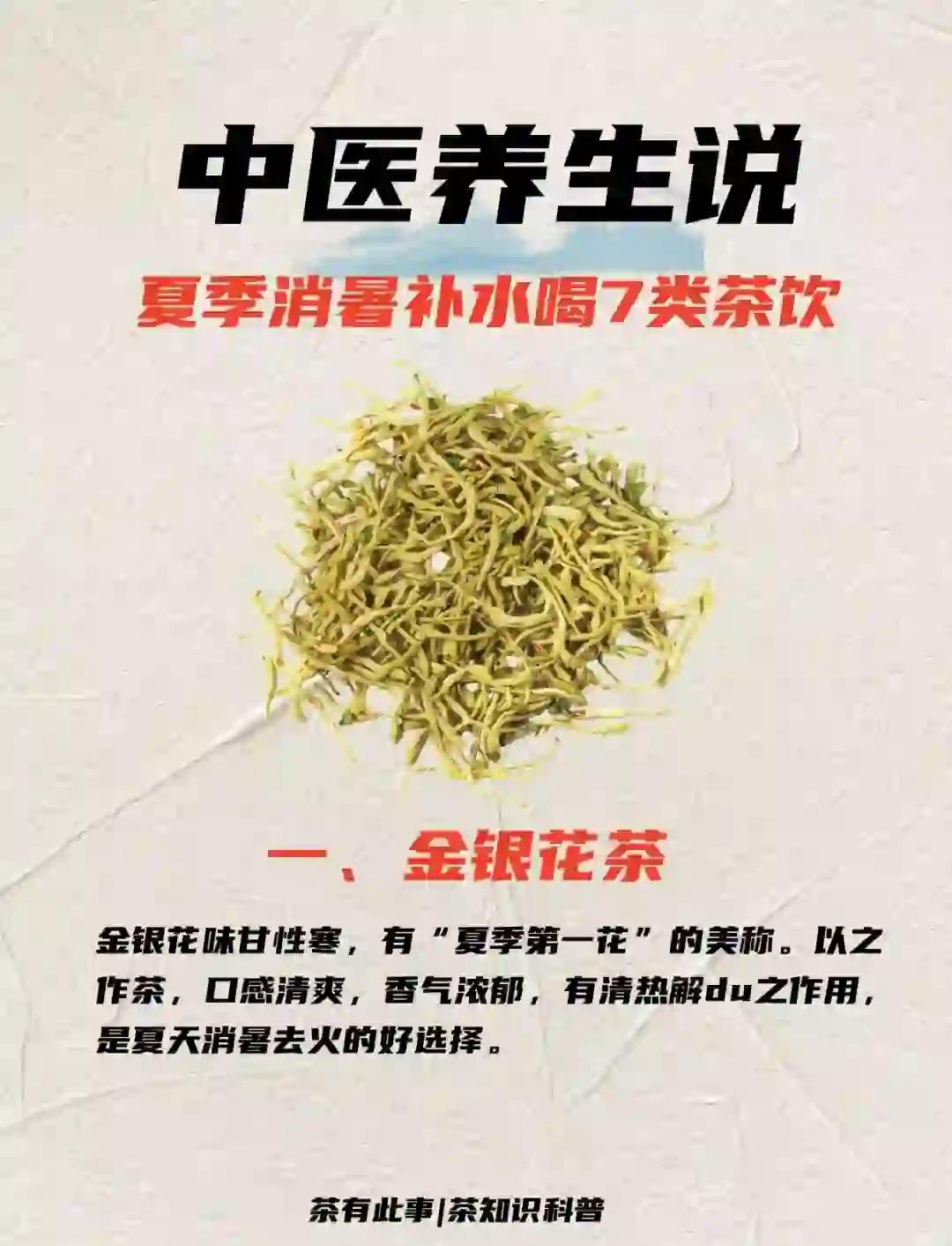 夏天喝什么茶既解暑又养胃