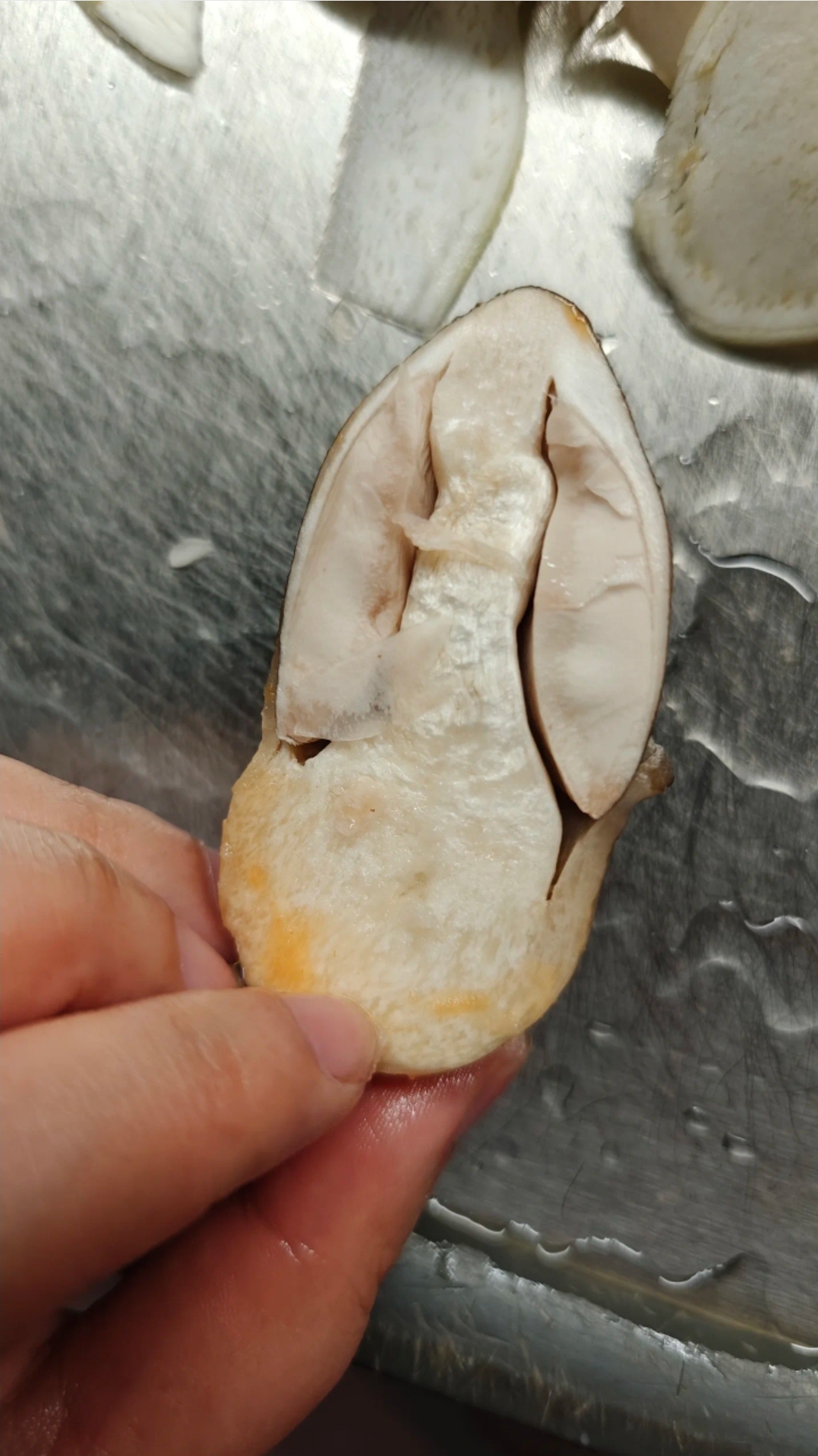 草菇长什么样子