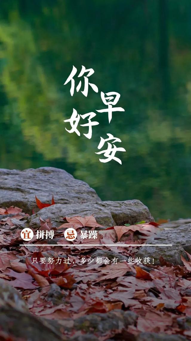 2025年9月9日 第8页