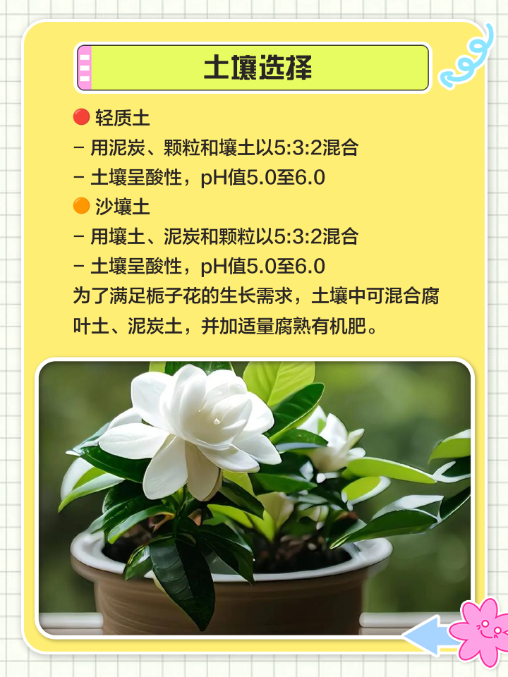 栀子花怎么养殖方法视频