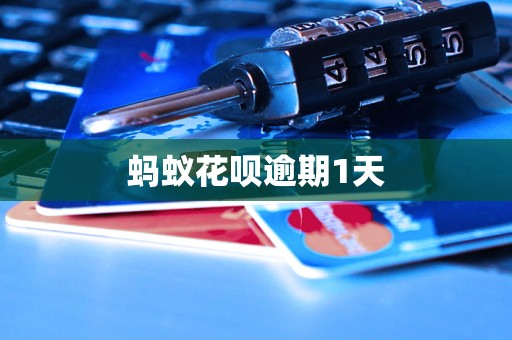 蚂蚁花呗逾期严重吗