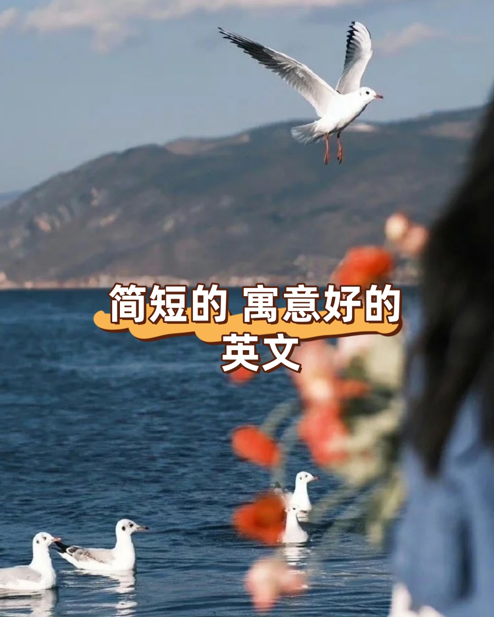 2025年9月10日 第115页