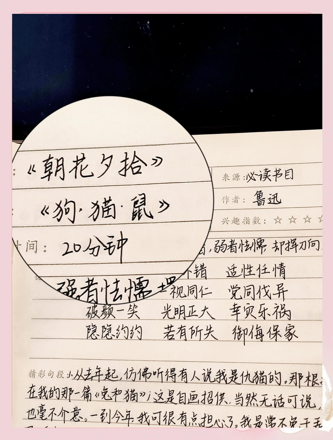 狗猫鼠主要内容讲了什么