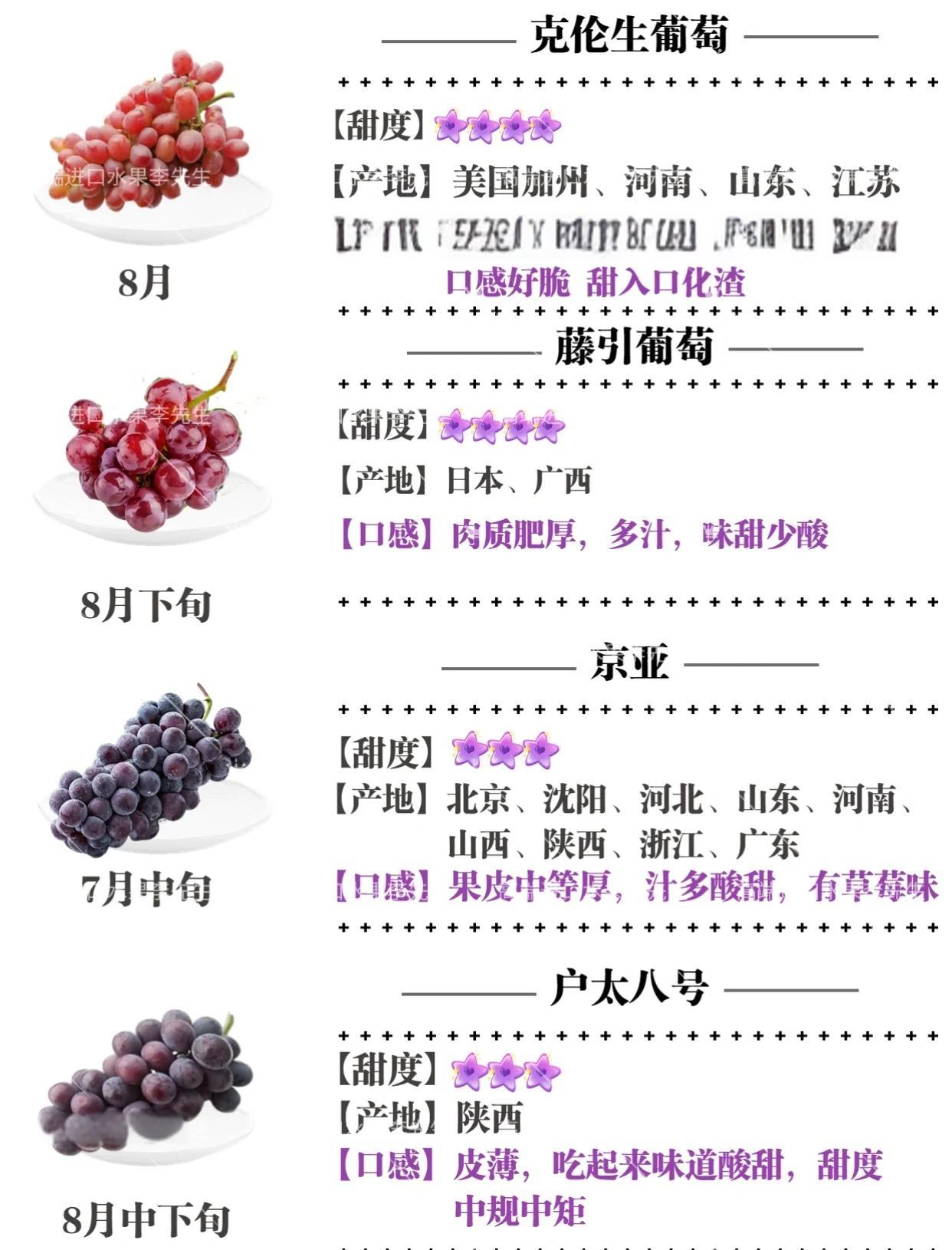 24种常见葡萄品种介绍大全