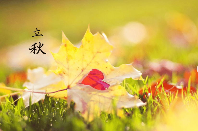 秋夕表达的情感和情感