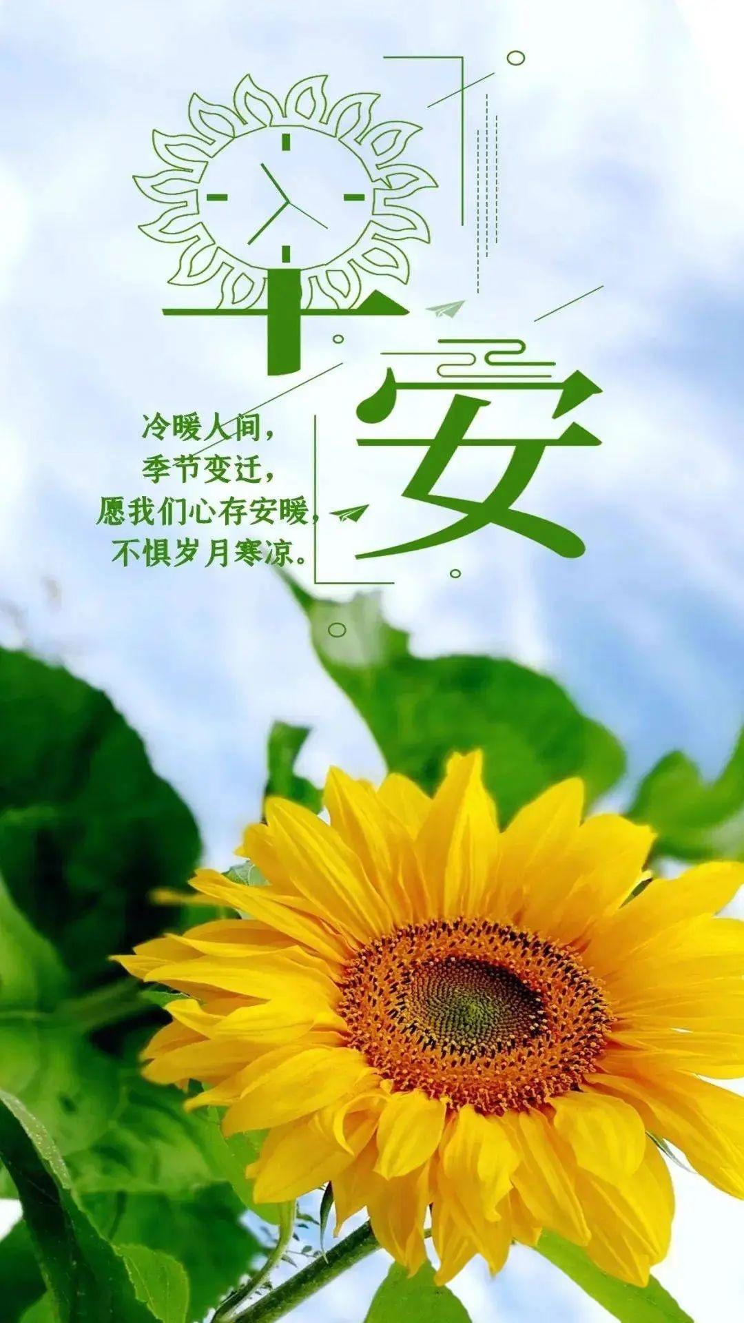 朋友圈最有正能量的句子大全搞笑