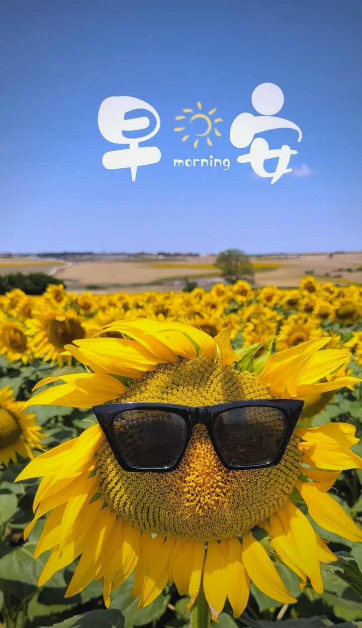 旅游正能量励志的语句图片