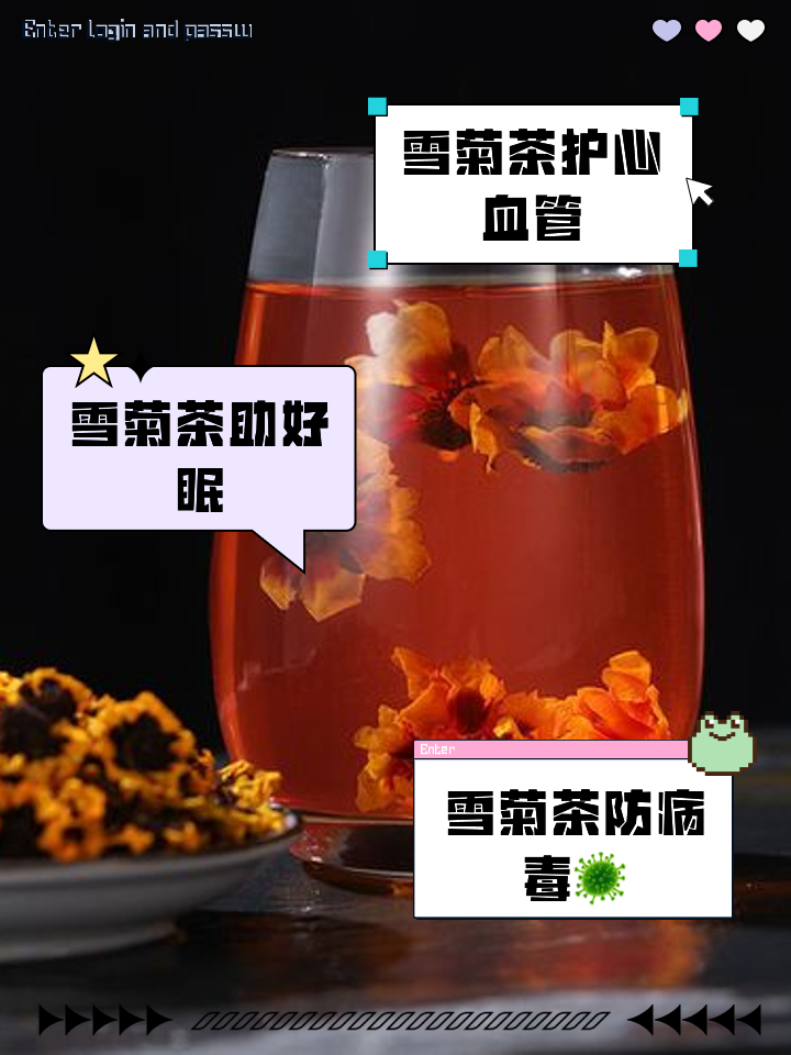 雪菊有什么功效泡水喝有什么功效