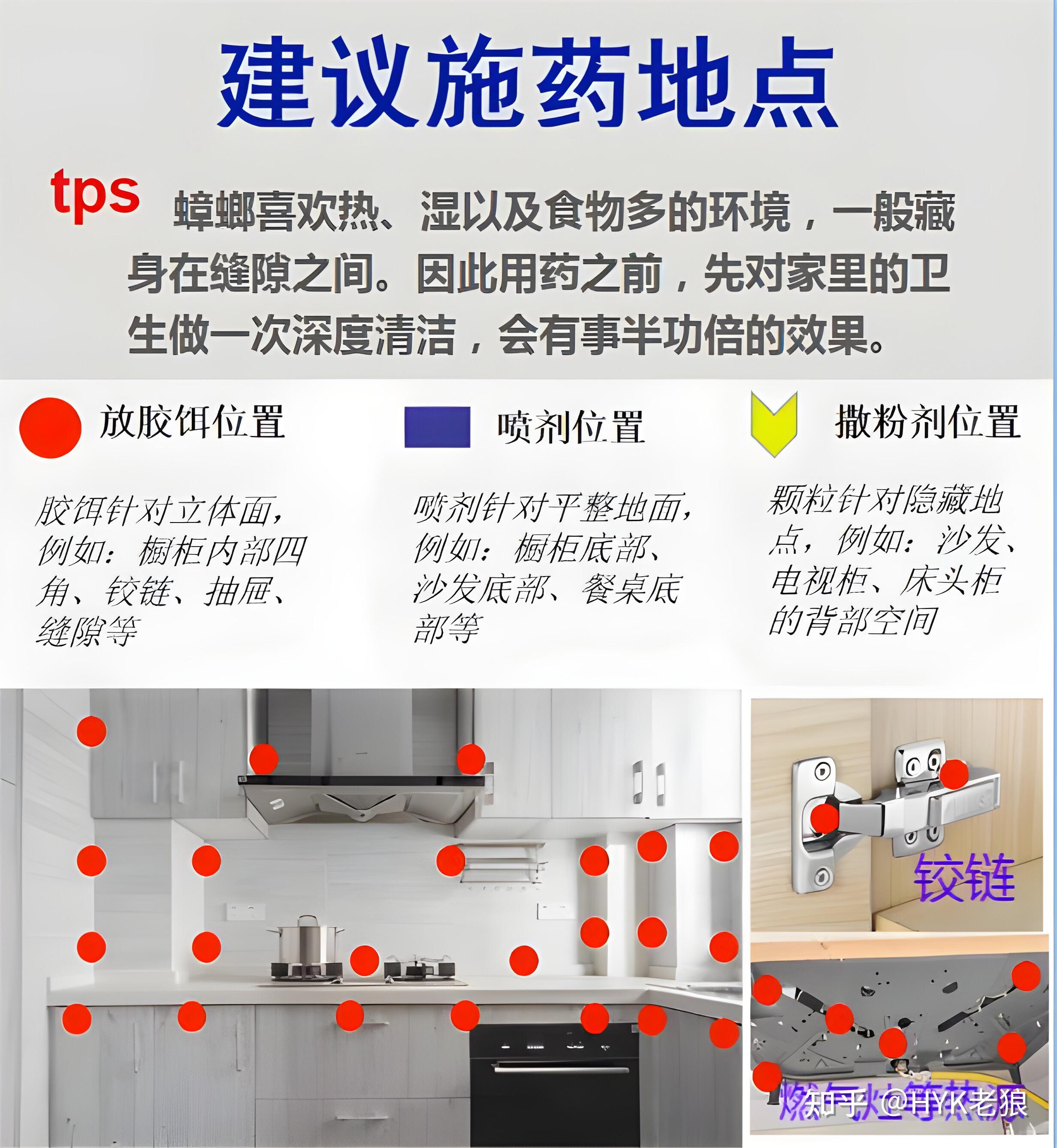 怎样消灭蟑螂最有效的方法小窍门图片