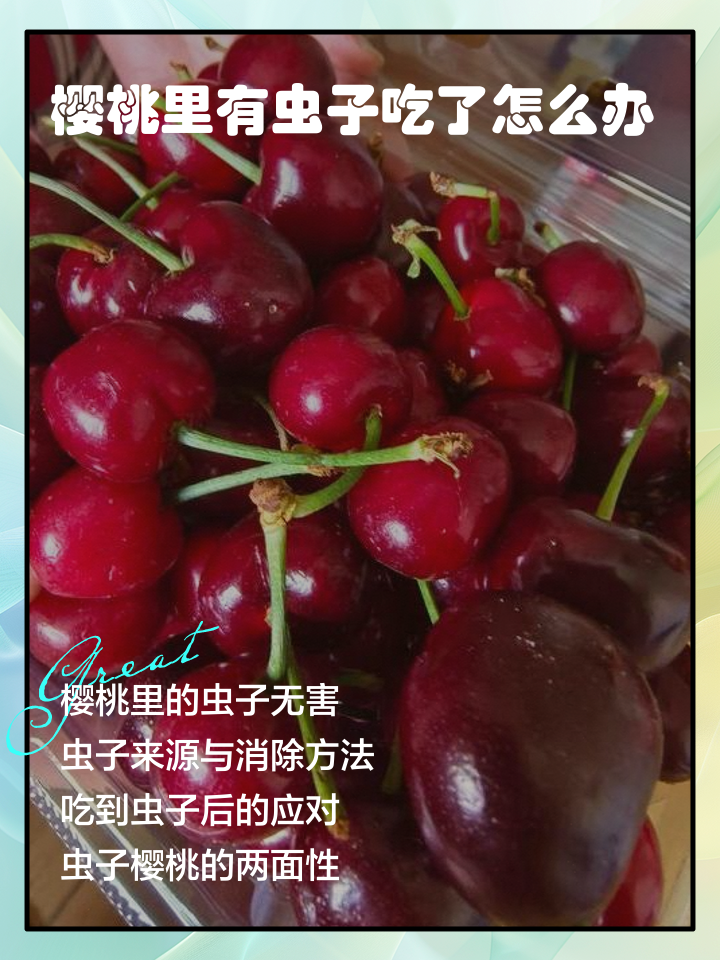 樱桃里面有虫子能吃吗?