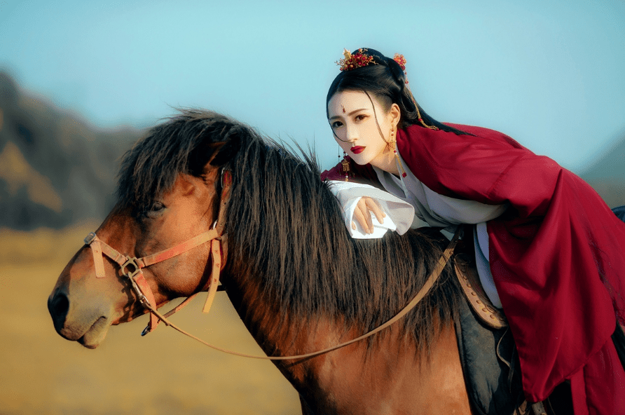 房兵曹胡马诗的意思