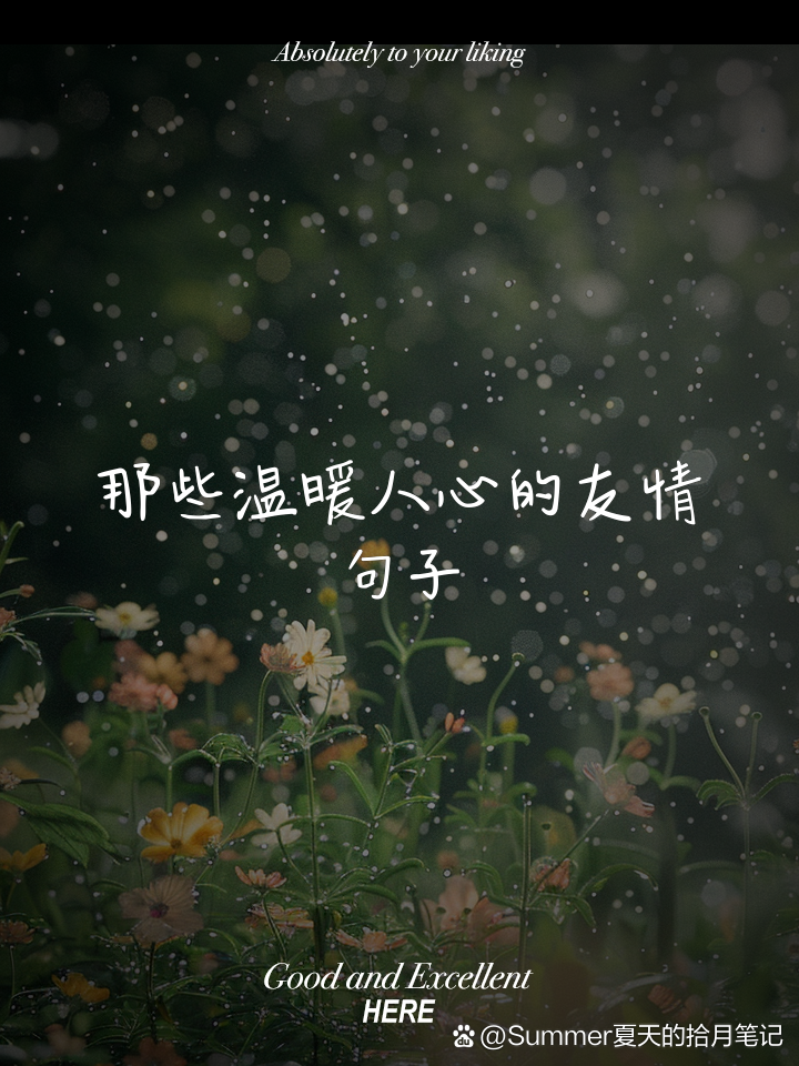 描写友谊的唯美诗句有哪些