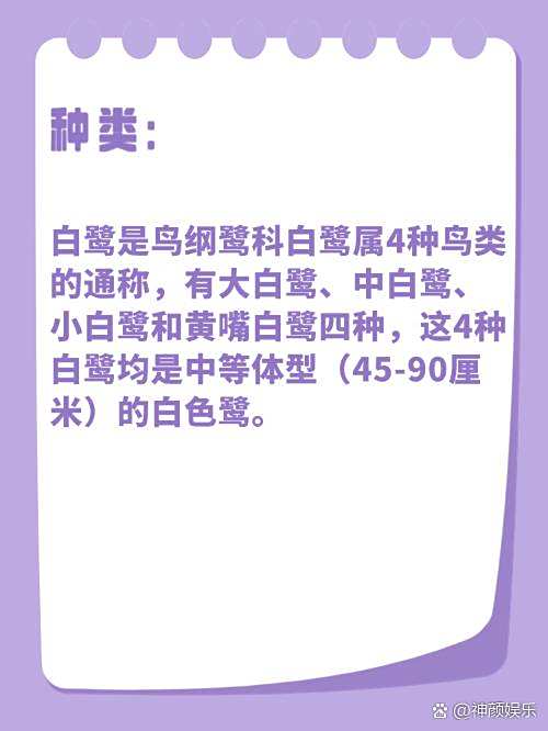 白鹭简单介绍一种事物