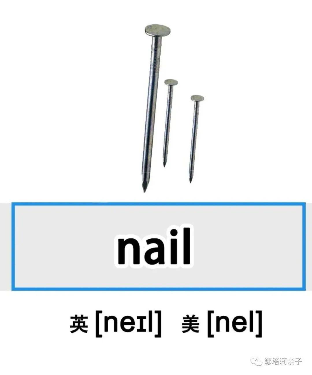 hammer的中文意思